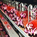 최종학농장 이미지