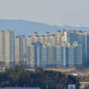 이로하우스
