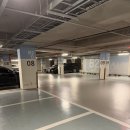 아지트댕댕 이미지