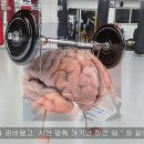 동양킥복싱MMA 이미지