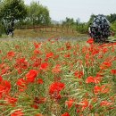 장모루공원 이미지