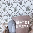 탑유통 | [블랑101] 신생아부터 사용하는 탑투토워시, 블랑101 탑투토워시 리얼후기