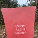 꽃씨네돌담집 이미지