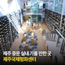제주국제평화센터 | 제주 중문 실내 가볼 만한 곳, 제주국제평화센터 관람정보 총정리