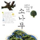 소나무기획 이미지