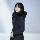 네파문정 이미지