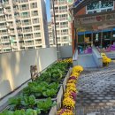 신덕초등학교 병설 이미지