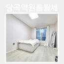 생활권19-1(L) | L.905>봉천동 당곡역 원룸 월세｜신림역 생활권·평지입지·넓은 오픈형 1층 풀옵션