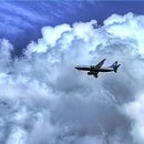 금순목장 이미지