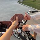 킴스 홀리데이 빌라 | 태국 푸켓여행 (5)| 그린망고홀리데이 프라이빗택시투어 센트럴푸켓 투캅카오