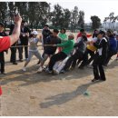 동탄초등학교 이미지