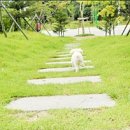 (주)온리원뮤직 네이버블로그