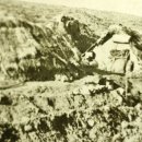 평산목장 이미지