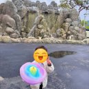 이마트24청주내덕점 | 청주 초정 실내동물원 쥬니멀 초정행궁점 아이와 방문후기