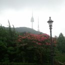 남산트라팰리스공인중개사사무소 이미지