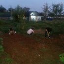 최영숙농장 이미지