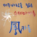 애월&오늘 | 제주 애월수제마카롱 제라진마카롱 세트 후기