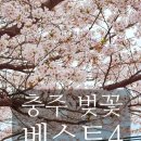군도6호선 산벚나무길 | 충주 벚꽃 명소 베스트 4 하방마을부터 충주댐까지 완벽 코스 정리