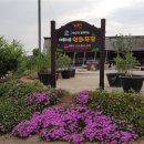 자정농장 이미지