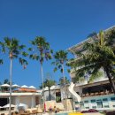 남진농장 | 짱구, 우붓/지프투어, 가성비 최고 숙소 !