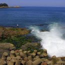 서천생태공원 이미지