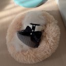 여기는 펫샵 | 수영구 유독(YOUDOG) 펫샵 방문 후기｜깔끔함·전문성·사후케어까지 완벽한 곳