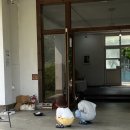 어라운드빌리지 이미지