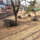 사월동 지석묘군 이미지