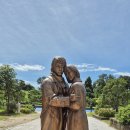 정남진테마숲 이미지