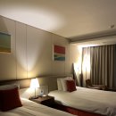 민성 농장 | '26.2월 제주여행 01. 비밀의 숲ㅣ세화해수욕장 카페(나이테)ㅣ소품샵 투어(나나이로•여름문구사)