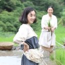 고향풍년 이미지