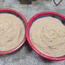 김용희 참치 이미지