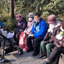 양지 2 소공원 이미지