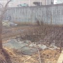 내곡동269 이미지