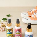 오클레어 이미지