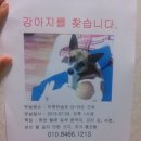 영산대(아랫반송) Daum카페