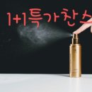 나비왕