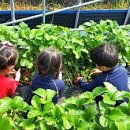 수성유치원 이미지