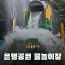 하리교 밑 은행나무 | 성남 단대오거리 부근 물놀이터 :: 은행공원 물놀이장