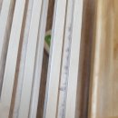 석산초등학교 병설유치원 이미지