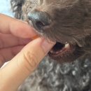 계룡로553번길 | 🔥주문폭주🔥 쌰갈 당일배송🚚 백만리뷰! 5주년 할인 💸 쌰갈 청순가련핏🎀 재입고문의폭주‼️ MD추천😻 쌰갈템...