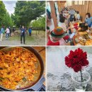 청노의 일기 - 2025 산림복지체험 1박 2일. 이미지