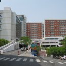 강남대학교 평생교육원 Daum카페