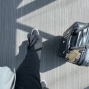 다개한우농장 | 초여름 일상 모음집