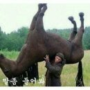 노브랜드 강남터미널점