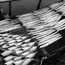 詩가 된 풍경 이미지