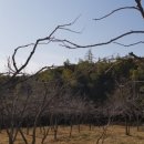 만재농장 이미지