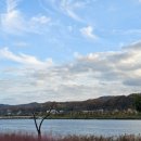 자작나무마을 이미지