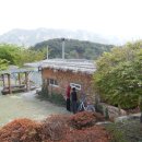 진달래펜션 이미지