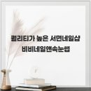 비비네일